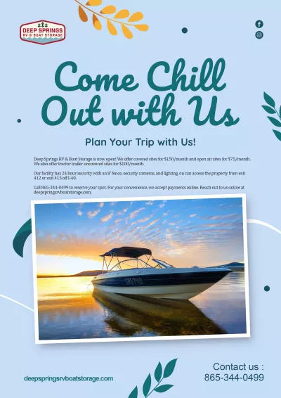 Do a profesional business flyer for you business